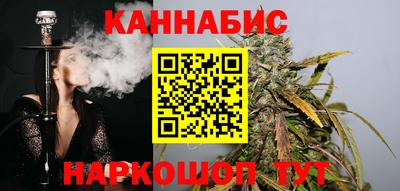 a pvp Новодвинск