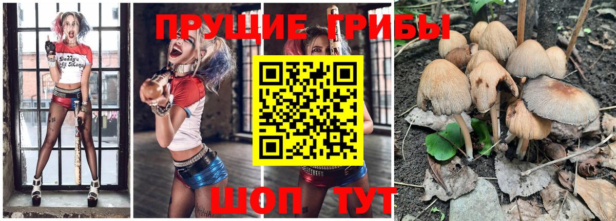 Трёхгорный  Галлюциногенные грибы Magic Shrooms  Вход с VPN 